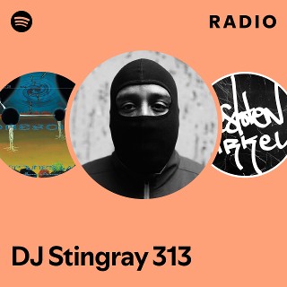 DJ Stingray 313 | Spotify