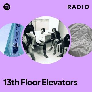 Imagem de 13th Floor Elevators