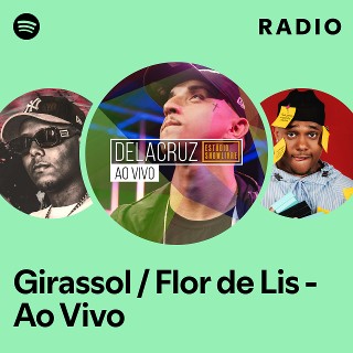 Imagem de Flor de Girassol