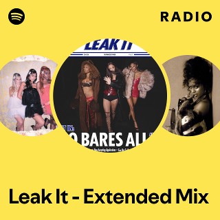Leak It - Extended Mix Radio | Spotify Playlist