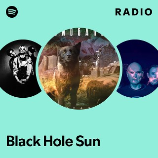 Black Hole Sun Radio | Spotify Playlist