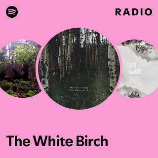 Imagem de The White Birch