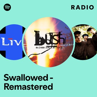 Imagem de Swallowed