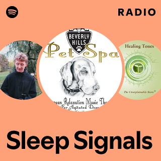 Imagem de Sleep Signals