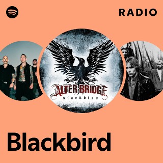 Imagem de Blackbird Blackbird