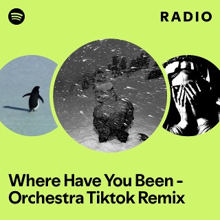 Where Have You Been - Orchestra Tiktok Remix Radio | Spotify Playlist