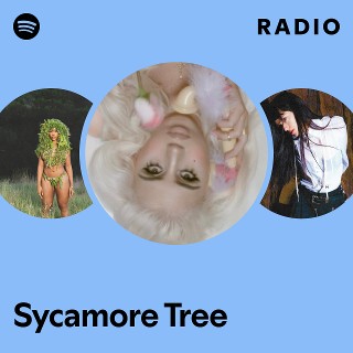 Sycamore Tree Radio Spotify Playlist