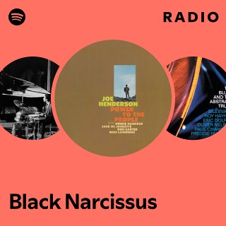 Black Narcissus Radio