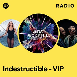 Indestructible - VIP Radio - playlist by Spotify | Spotify