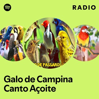 Imagem de Açoite