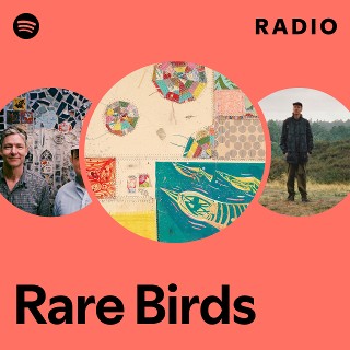 Imagem de Rare Bird