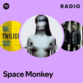 Space Monkey Radio | Spotify Playlist