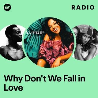 Imagem de Why Do We Fall?