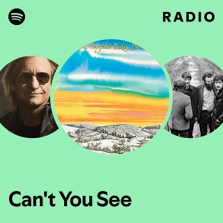 Can't You See Radio | Spotify Playlist