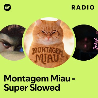 Montagem Miau - Super Slowed Radio | Spotify Playlist