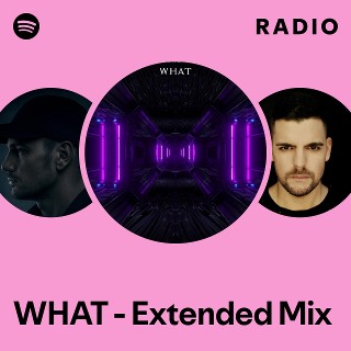 WHAT - Extended Mix Radio | Spotify Playlist