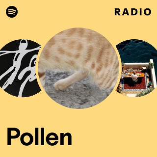 Pollen Radio | Spotify Playlist