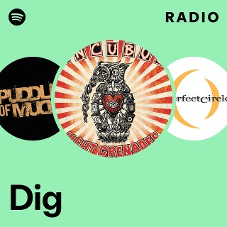 Dig Radio | Spotify Playlist