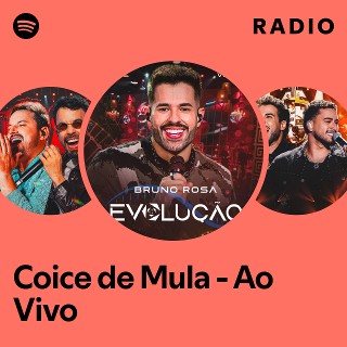 Imagem de Coice de Mula