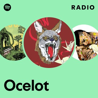 Ocelot Radio | Spotify Playlist