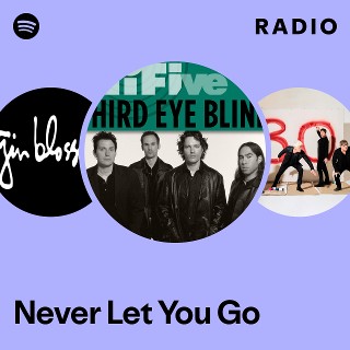 Never Let You Go Radio | Spotify Playlist