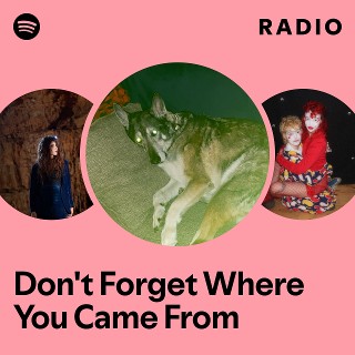Don't Forget Where You Came From Radio - playlist by Spotify | Spotify