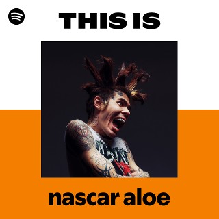 This Is nascar aloe