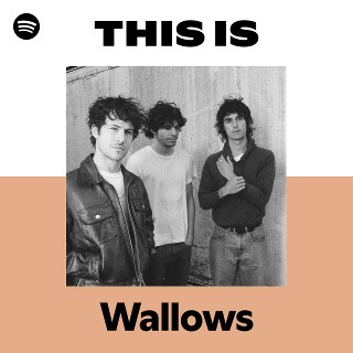 Imagem de Wallows