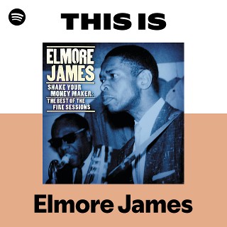 Imagem de Elmore James