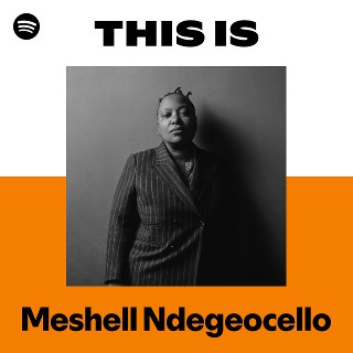 BIOGRAPHY - ミシェル・ンデゲオチェロ ｜ Meshell Ndegeocello