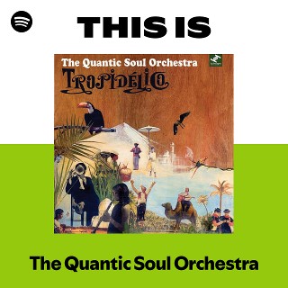 The Quantic Soul Orchestra ‎– Assassin‼️ The Quantic Soul Orchestra ‎– Assassin‼️