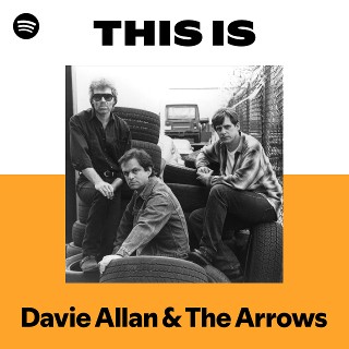 Davie Allan & The Arrows | Spotify