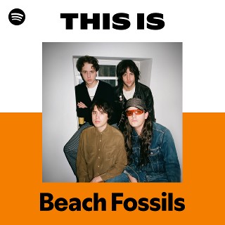 Imagem de Beach Fossils