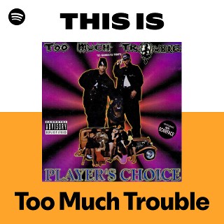 Too Much Trouble | Spotify