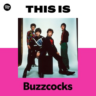 Imagem de The Buzzcocks