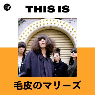 毛皮のマリーズ | Spotify
