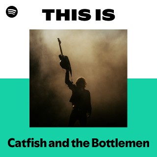 Imagem de Catfish And The Bottlemen