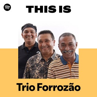 Imagem de Trio Forrozão