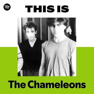 The Chameleons | Spotify