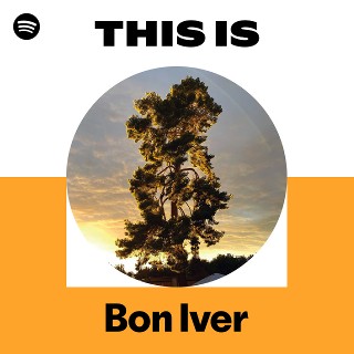Imagem de Bon Iver