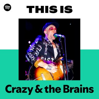 This Is Crazy & the Brains | Spotify Playlist
