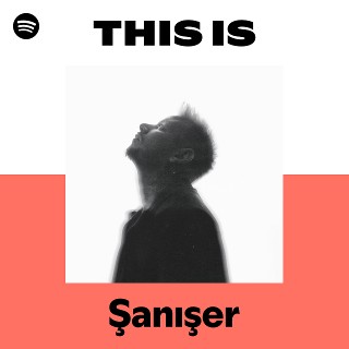 open.spotify.com