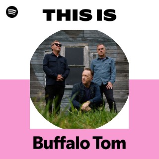 Imagem de Buffalo Tom