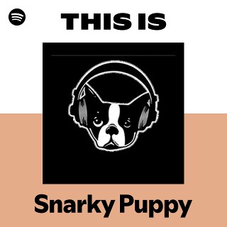 Imagem de Snarky Puppy