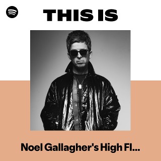 ノエル・ギャラガーズ・ハイ・フライング・バーズ | Spotify