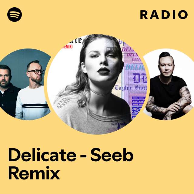 Delicate - Seeb Remix Radio