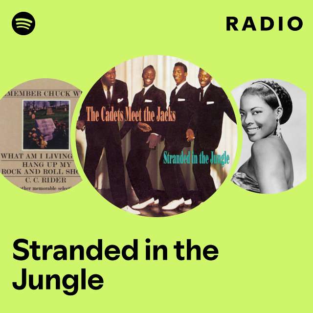 Stranded in the Jungle Radio