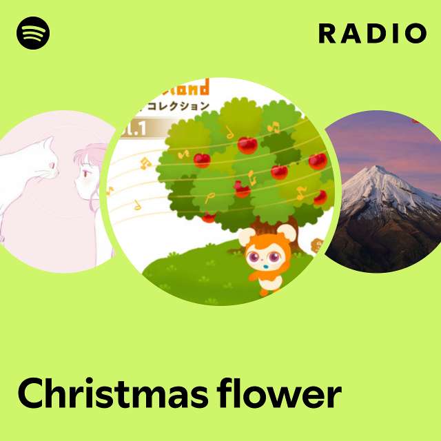 Christmas flower Radio